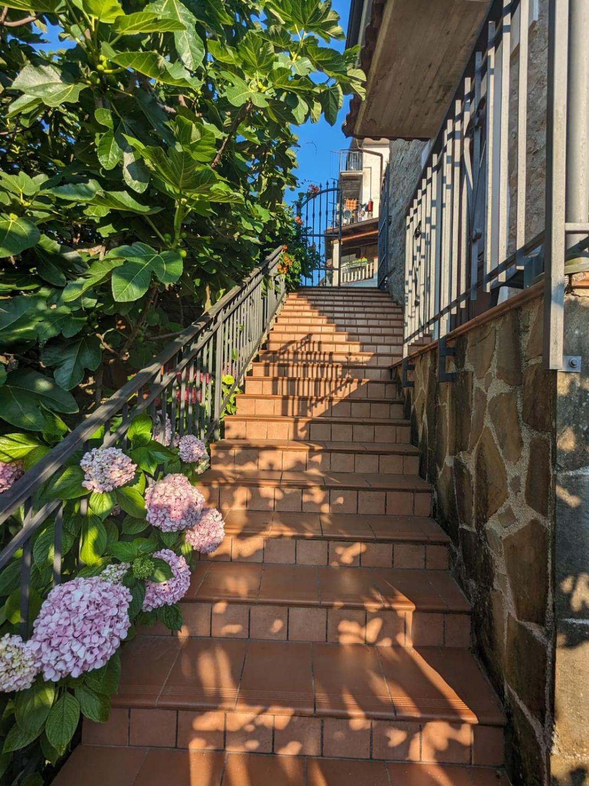 La Casa Di Lidia Bed & Breakfast Cardile Екстериор снимка