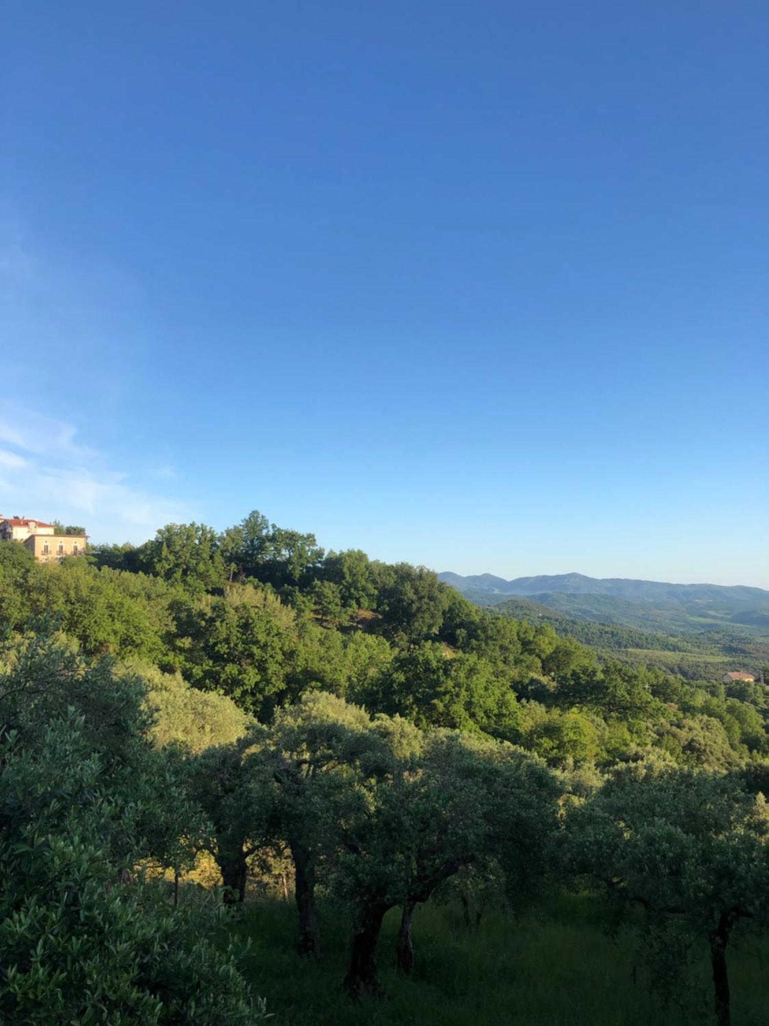 La Casa Di Lidia Bed & Breakfast Cardile Екстериор снимка